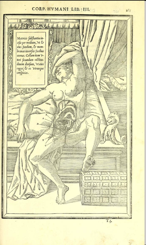 Anatomical woodcut in Estienne (1545) clearly derived from the erotic image engraved by Caraglio after Perino del Vaga in The Loves of the Gods series of prints.