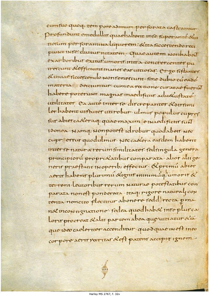 The architype of Vitruvius