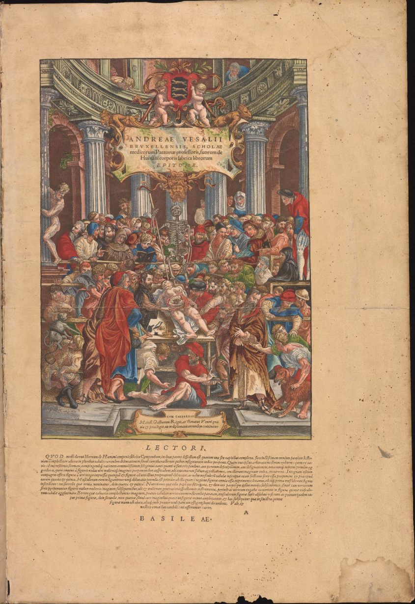 Hand-colored woodcut titlepage in the first edition of Vesalius