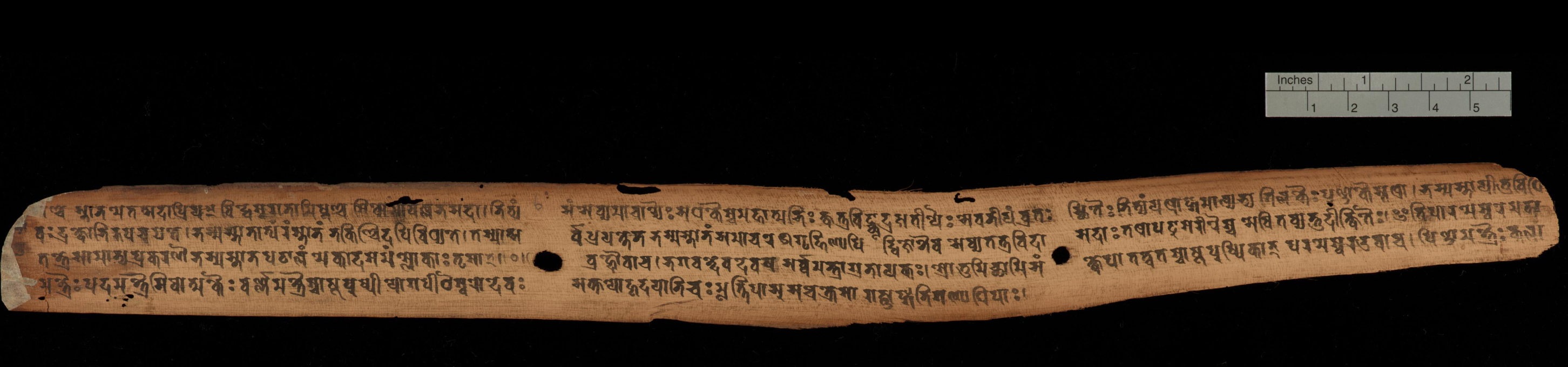 Pārameśvaratantra Cambridge University Library MS Add.1049.1. f. 12 of 124. "One of the oldest known dated Sanskrit manuscripts from South Asia, this specimen transmits a substantial portion of the Pārameśvaratantra, a scripture of the Śaiva Siddhānta, one of the Tantric theological schools that taught the worship of Śiva as "Supreme Lord" (the literal meaning of Parameśvara). No other manuscript of this work is known, but nine chapters are transmitted in the Prāyaścittasamuccaya of Hṛdayaśiva (see Add. 2833), where the work is referred to as the Puskaratantra or Puṣkara-Pārameśvaratantra (see Goodall 1998, particularly p. xliii). According to the colophon, it was copied in the year 252, which some scholars judge to be of the era established by the Nepalese king Aṃśuvarman (also known as Mānadeva), therefore corresponding to 828 CE."