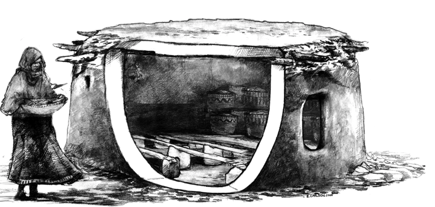 Interpretive reconstruction of prehistoric granary. "The exposed area illustrates the upright stones supporting larger beams, with smaller wood and reeds above, and finally covered by a thick coating of mud. The suspended floor sloped at 7° and served to protect stored foods from high levels of moisture and rodents (Illustration by E. Carlson)."