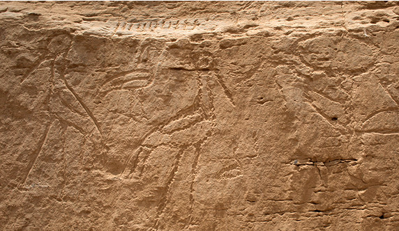 This "panel of signs features images of a bull’s head on a short pole followed by two back-to-back saddlebill storks with a bald ibis bird above and between them. This arrangement of symbols is common in later Egyptian representations of the solar cycle and with the concept of luminosity" (https://news.yale.edu/2017/06/20/yale-archaeologists-discover-earliest-monumental-egyptian-hieroglyphs).
