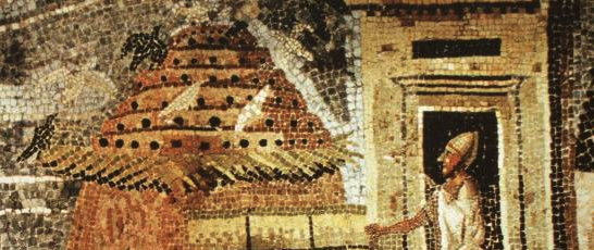 Egyptian Columbarium for pigeon breeding, a mosaic from Palestrina, first century BCE.