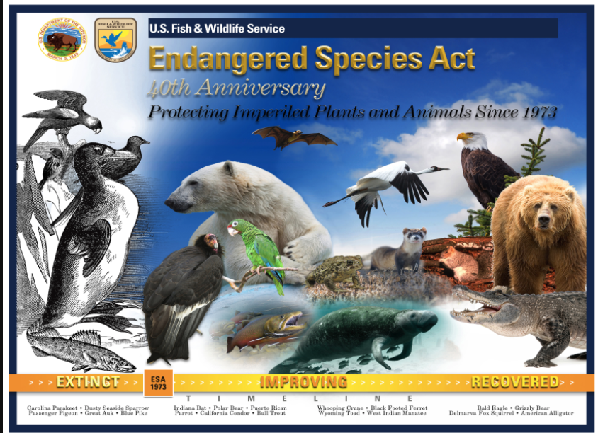 Poster for Protect the Endangered Species Act
