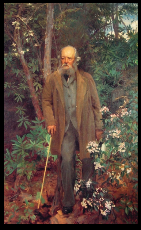 Frederick Law Olmsted, oil painting by John Singer Sargent, 1895, Biltmore Estate, Asheville, North Carolina