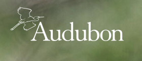 Logo of the Audubon Society