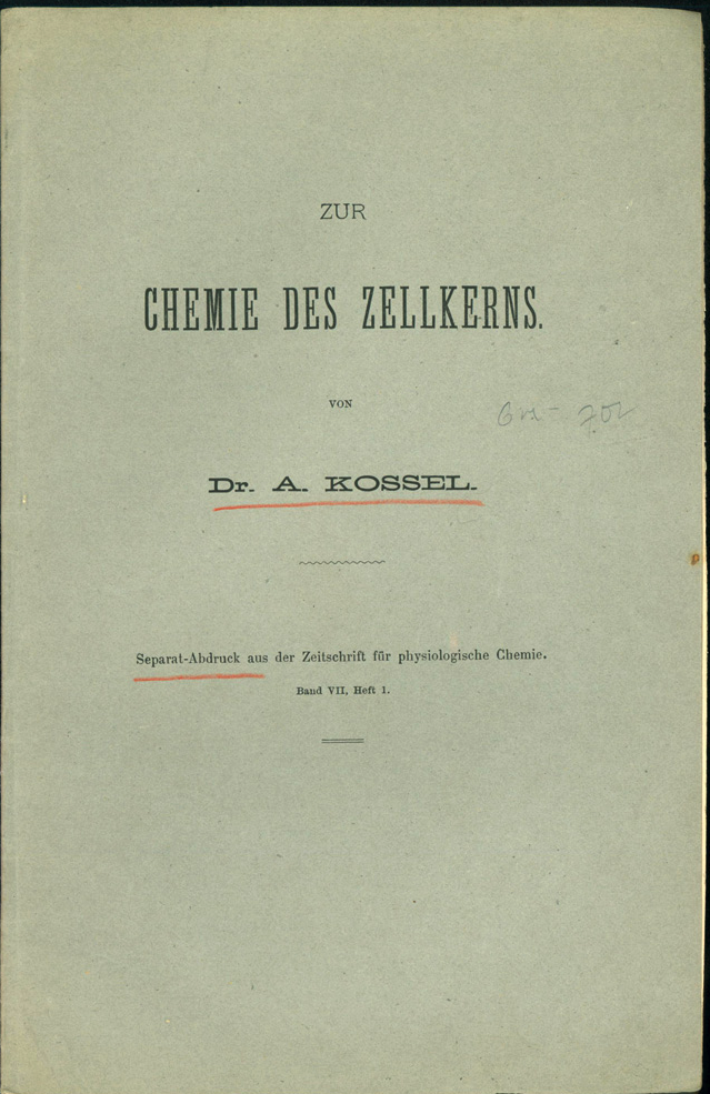 Upper printed wrapper of the separate offprint of Kossel's Zur Chemie des Zellkerns.