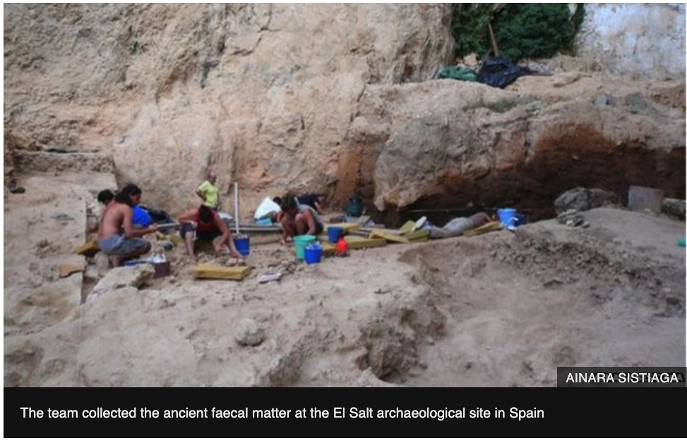 In this image the research team collected the ancient faecal matter at the El Salt archaeological site in Spain.