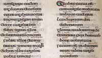 A small sampling of Aldred's gloss of the Gospels. (View Larger)