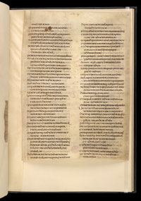 A page from the Ceolfrid Bible. (View Larger)