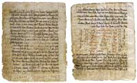 Several pages from te Codex Climaci Rescriptus. (View Larger)