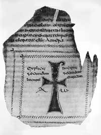 Folio 149v of the Codex Usserianus Primus.