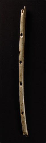 A flute, found in the hills west of Ulm Germany, that is believed to be 35,000 years old.