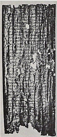Papyrus recovered from the Villa of the Papyri