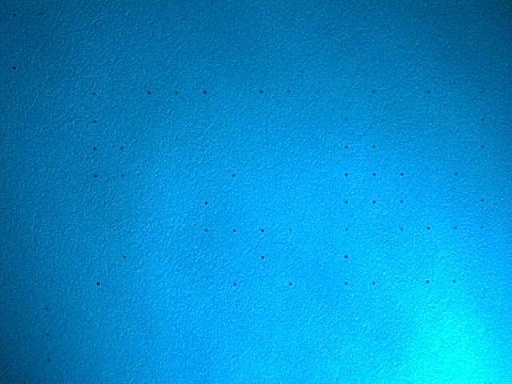 An image of one repetion of the dot grid from the Xerox DocuColor 12 page, magnified 10x and photographed by the QX5 microscope under illumination from a Photon blue LED flashlight