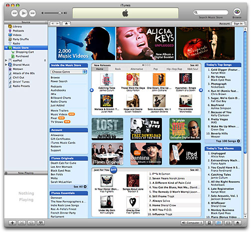 The iTunes interface