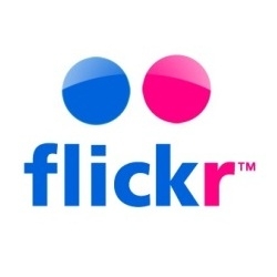 The Flickr logo