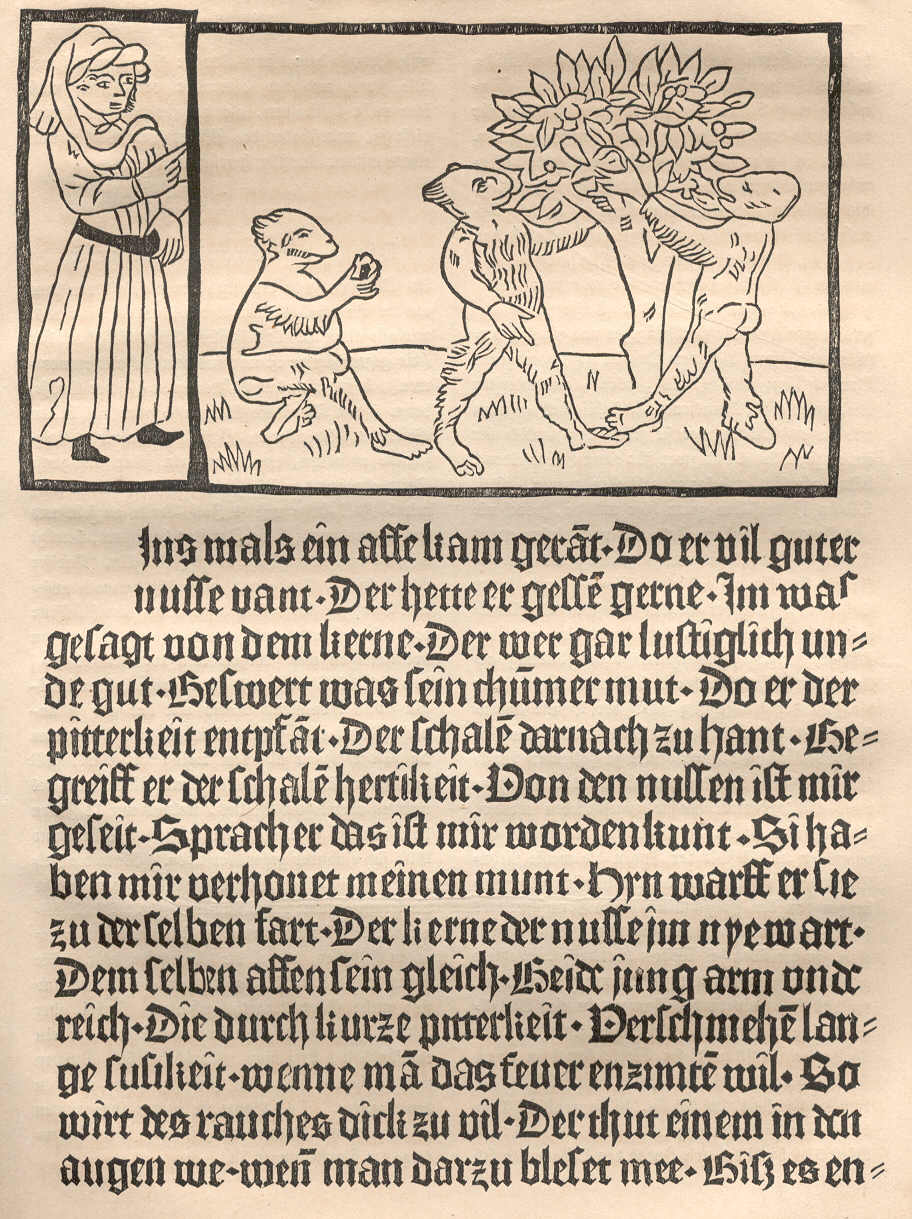 A page from Der Edelstein printed by Albrecht Pfister showing the integration of images with the printed text.