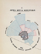 Nightingale Rose Diagram