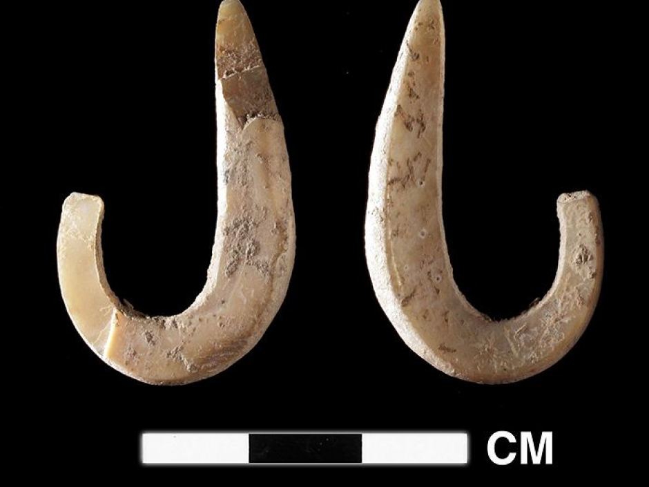 Fish hooks made of shell found in the Jerimalai Cave in East Timor.