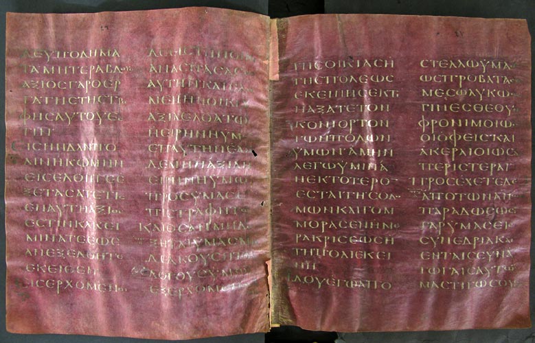 Codex Petropolitanus Purpureus Matt. 10,10 17