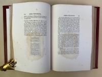 The pasted-in leaf is visible on the left page. The stain around that leaf was probably a result of moisture left on the page after the leaf was pasted on.