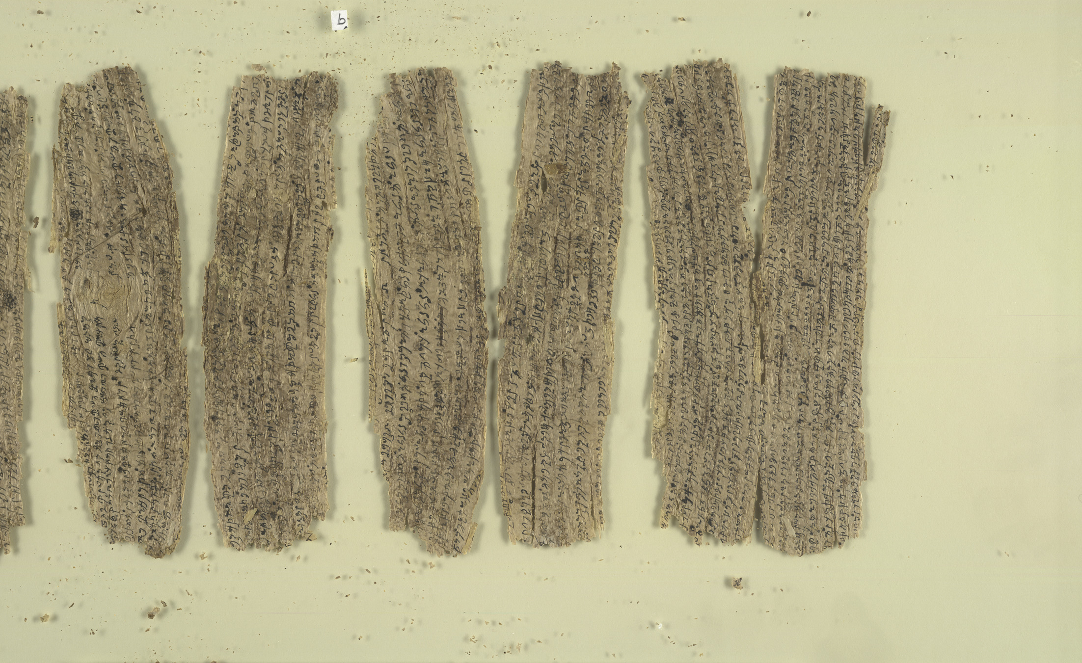Fragmentary Buddhist text   Gandhara birchbark scrolls (1st C), part 31   BL Or. 14915