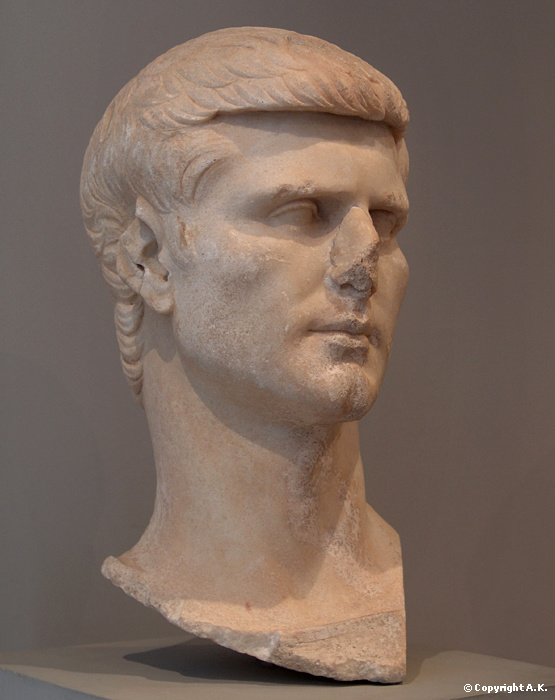 Gaius Asinius Pollio