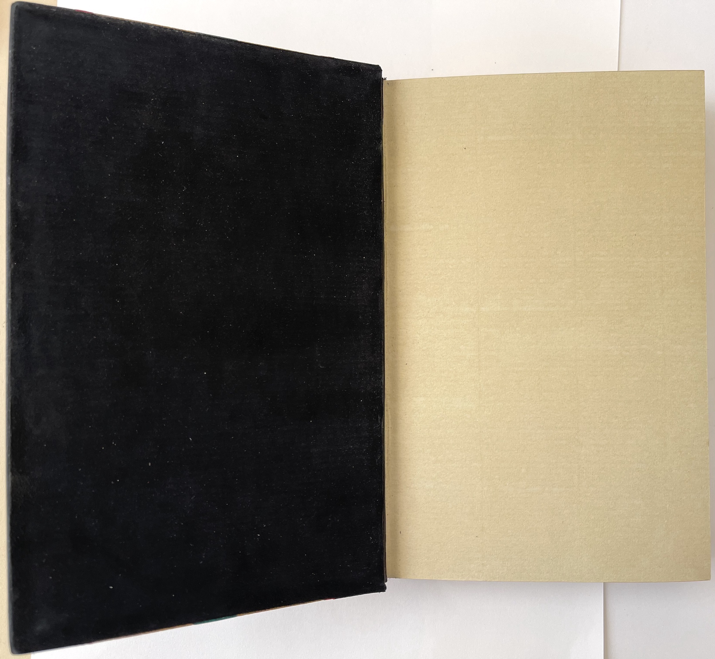 A very distinctive feature of this designer binding are the black swede pastedown endpapers.