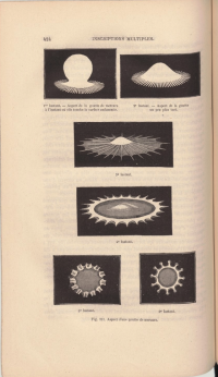 Edward irving – wikipédia, a enciclopédia livre by solução