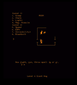 pedit5, alternately called The Dungeon was a 1975 dungeon crawl video game developed for the PLATO system by Rusty Rutherford.[1] It is considered the first surviving example of a dungeon crawl game. This is a screenshot of pedit5 taken in 1975.
