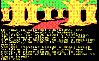 Later versions of Colossal Cave Adventure added pictures, such as this MS-DOS version by Level 9 Computing.