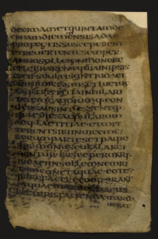 Leaf 174 recto of Vat. Pal. lat. 24. The undertext of the 4th century palimpsest is very visible in the image.