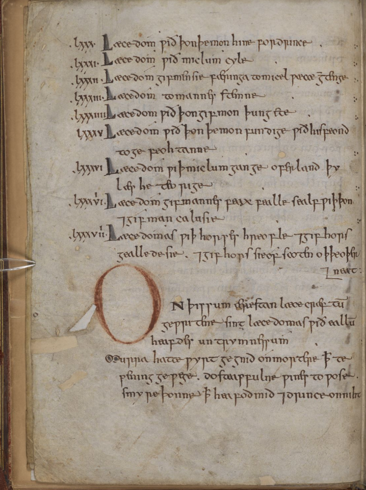 f 6.v from The Leechbook of Bald. British Library Royal MS 12, D xvii.
