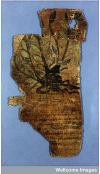 The Johnson Papyrus. Wellcome Library MS 5753.