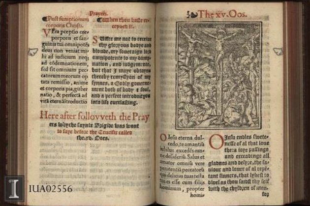 A very unsual English 16th century book of hours in the Rare Book and Manuscript Library, University of Illinois at Urbana-Champaign. 
“The prymer in Englishe and Latine after Salisbury vse : set out at length wyth many prayers and goodlye pyctures.” (Imprinted at London : by the assygnes of Ihon Wayland, 1557) SL
IUA02556: http://bit.ly/1uUkqrb