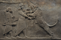  Ashurbanipal hunting lions, gypsum hall relief from the North Palace of Nineveh (Iraq), c. 645-635 BC, British Museum.
