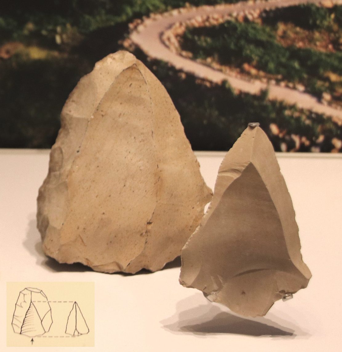 Production of points & spearheads from a flint stone core, Levallois technique, Mousterian culture, Tabun Cave, Israel, 250,000–50,000 BP. Israel Museum.