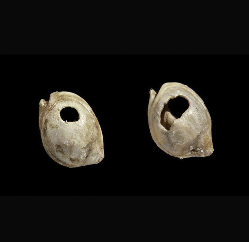 Skhul Shell Beads, Skhul, Israel. Photo by James Di Loreto, & Donald H. Hurlbert, Smithsonian Institution.