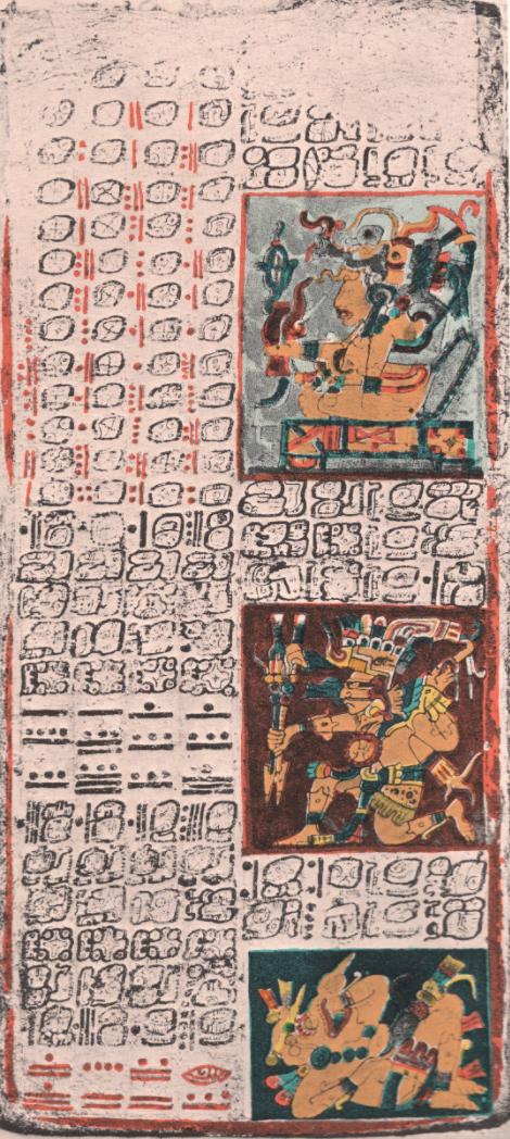 Yucatec Maya writing in the Dresden Codex, c. 11–12th century, Chichen Itza. The individual characters have a semi-globular shape.