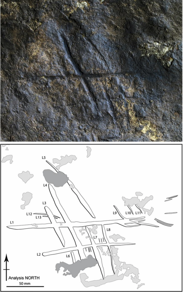 "(A) Engraving from Gorham’s Cave. (B) Engraved lines L1–L13. Dark gray and light gray identify old and recent breaks, respectively. (SI Appendix, Fig. S21 shows the order of the engraving lines, breaks, and formation of the duricrust.) Note that the “Analysis North” shown here was used only to describe the order of the engraving lines."
