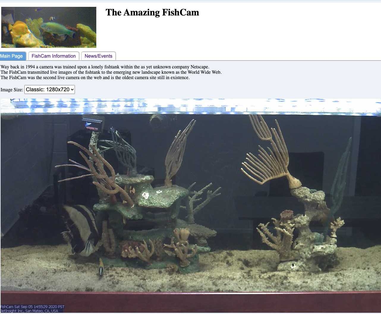 Screenshot of the FishCam taken on September 5, 2020.
