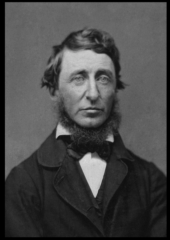 Portrait photograph from a ninth-plate daguerreotype of Henry David Thoreau, June 18,1856. "Calvin R. Greene was a Thoreau “disciple” who lived in Rochester, Michigan, and who first began corresponding with Thoreau in January 1856. When Greene asked for a photographic image of the author, Thoreau initially replied: “You may rely on it that you have the best of me in my books, and that I am not worth seeing personally – the stuttering, blundering, clodhopper that I am.” Yet Greene repeated his request and sent money for the sitting. Thoreau must have kept this commitment to his fan in the back of his mind for the next several months. On June 18, 1856, during a trip to Worcester, Massachusetts, Henry Thoreau visited the Daguerrean Palace of Benjamin D. Maxham at 16 Harrington Corner and had three daguerreotypes taken for fifty cents each. He gave two of the prints to his Worcester friends and hosts, H.G.O. Blake and Theophilius Brown. The third he sent to Calvin Greene in Michigan. “While in Worcester this week I obtained the accompanying daguerreotype – which my friends think is pretty good – though better looking than I,” Thoreau wrote.