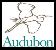 Alternative Audubon logo