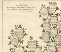 Detail of the upper corner of the image showing examples of the annotation for each "leaf"
