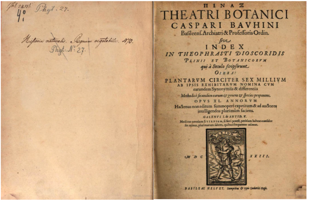 Title page of Bauhin's Pinax Theatri Botanici