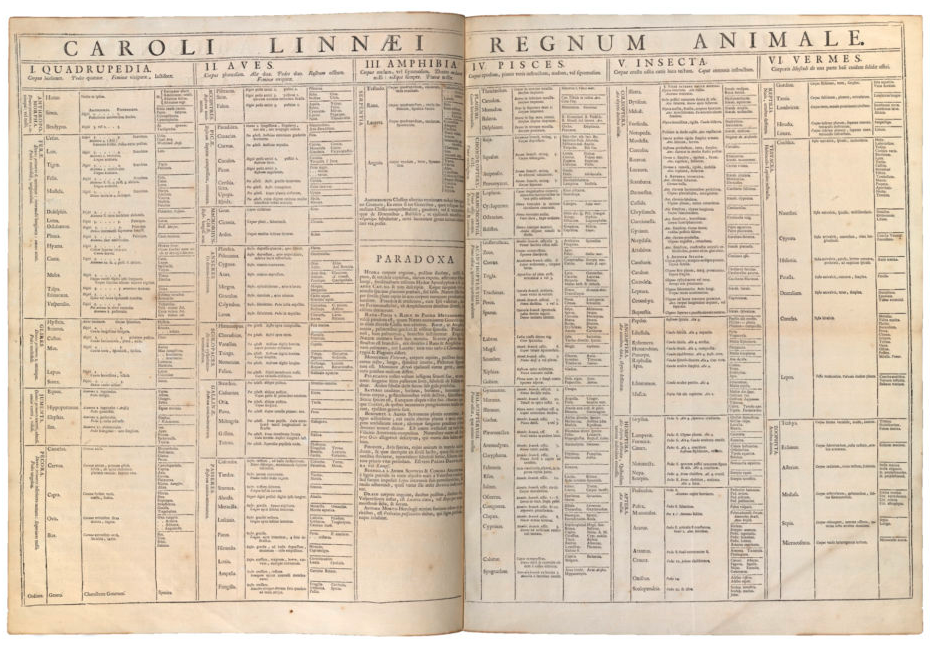 The kingdom of animals (Regnum Animale), large charts comprising the first edition of Linnaeus's Systema naturae