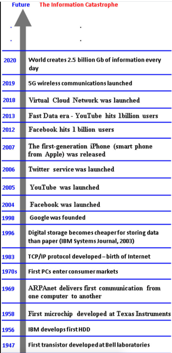 Melvin Vopson's Reverse Timeline for the Information Catastrophe