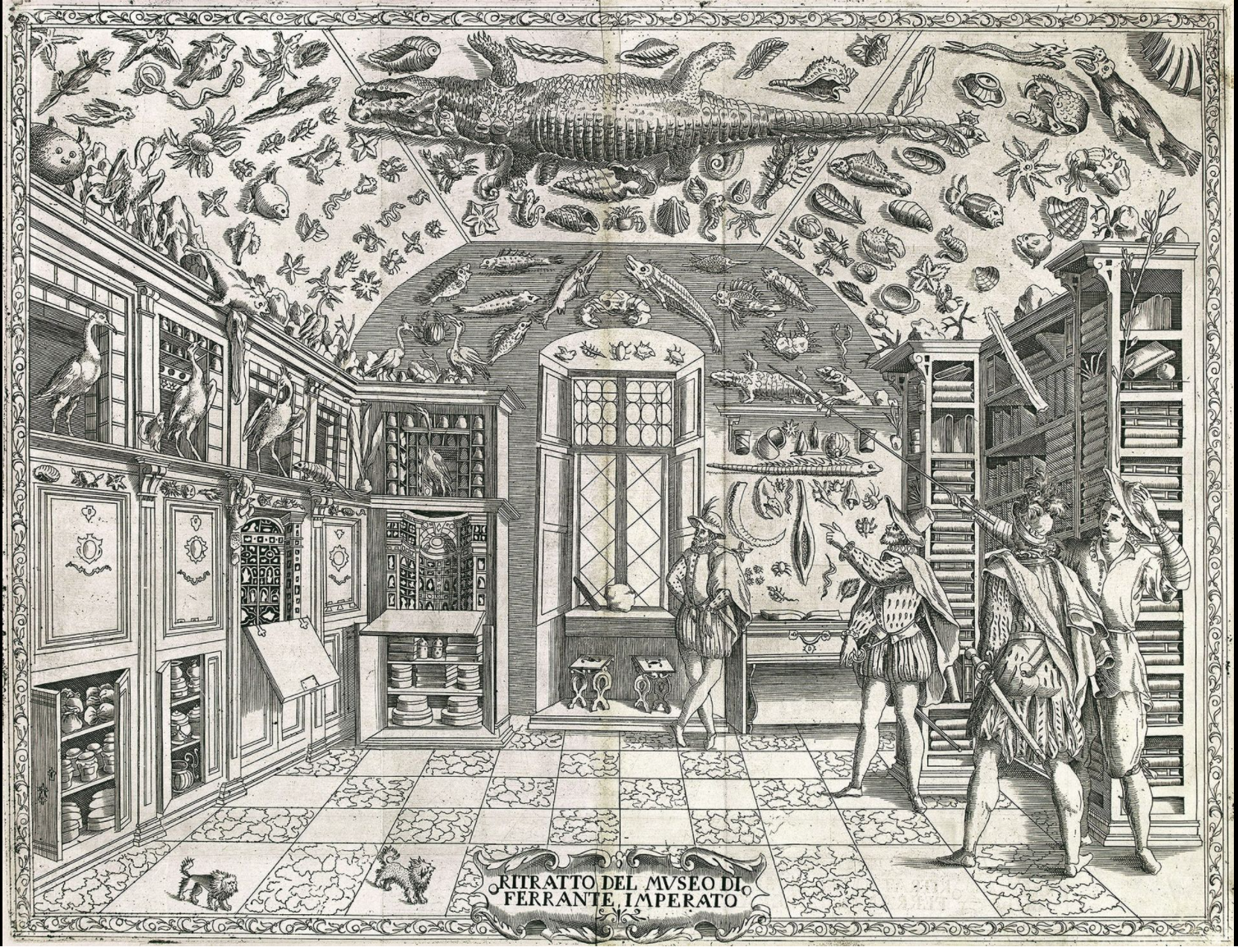 The first published depiction of a natural history museum, and library. Notice the way the books are placed on the shelves, many of which with their spines facing the back of the shelf and cl