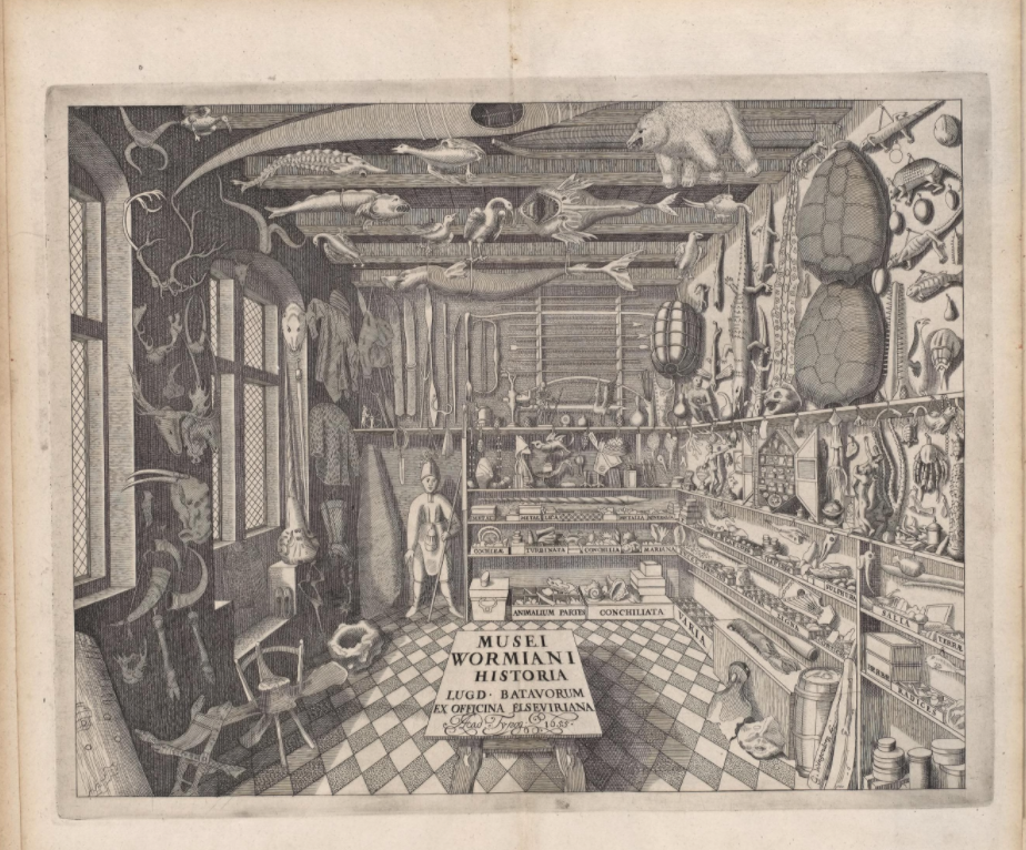 Engraved frontispiece of the book on Ole Worm's museum, also serving as a kind of title page with the publishing details on the table in the foreground.